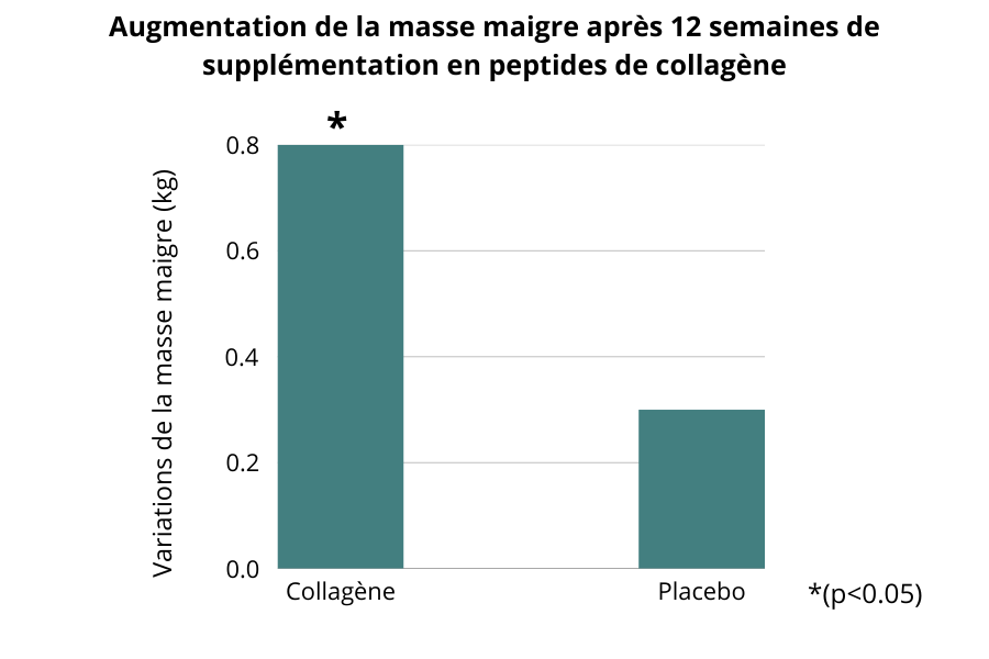 Augmentation de la masse maigre après 12 semaines de supplémentation en peptides de collagène